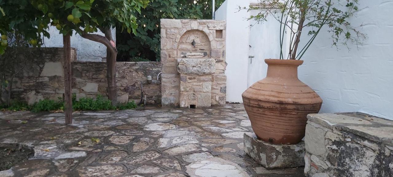 Traditional House In Asfendiou Agios Dimitrios  Kültér fotó