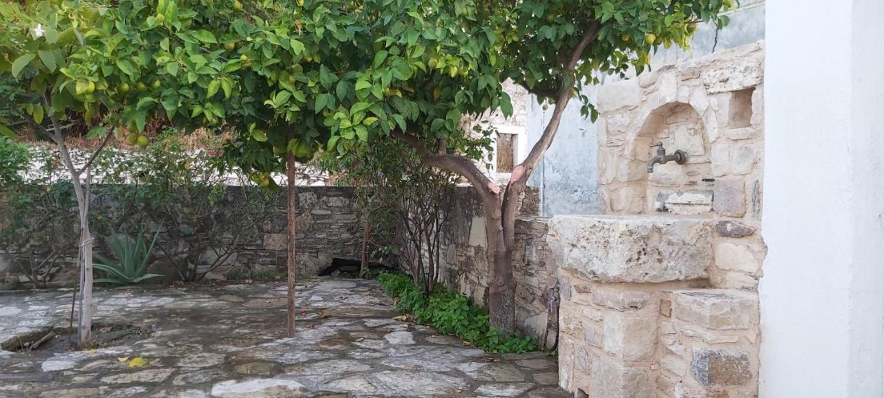 Traditional House In Asfendiou Agios Dimitrios  Kültér fotó
