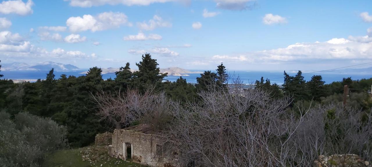 Traditional House In Asfendiou Agios Dimitrios  Kültér fotó